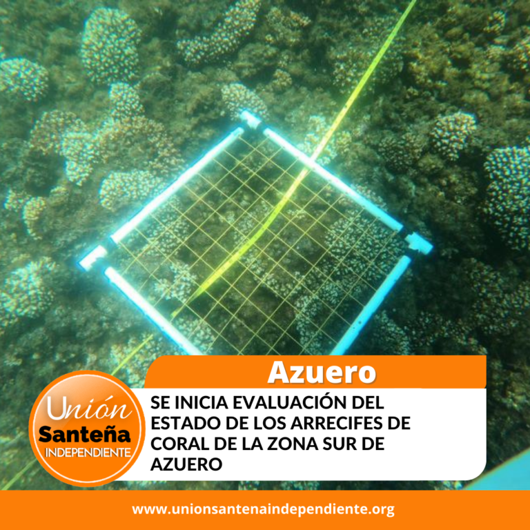 Se inicia evaluación del estado de los arrecifes de coral de la zona Sur de Azuero