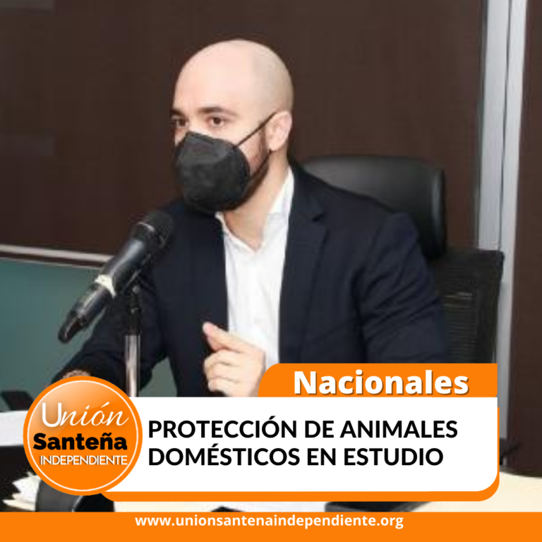 PROTECCIÓN DE ANIMALES DOMÉSTICOS EN ESTUDIO