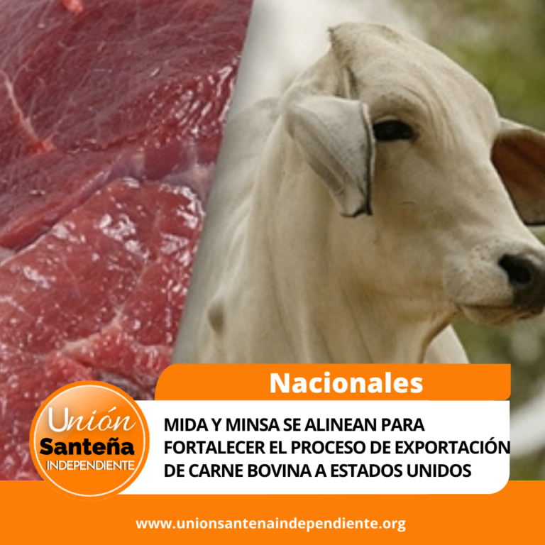 MIDA y MINSA se alinean para fortalecer el proceso de exportación de carne bovina a Estados Unidos