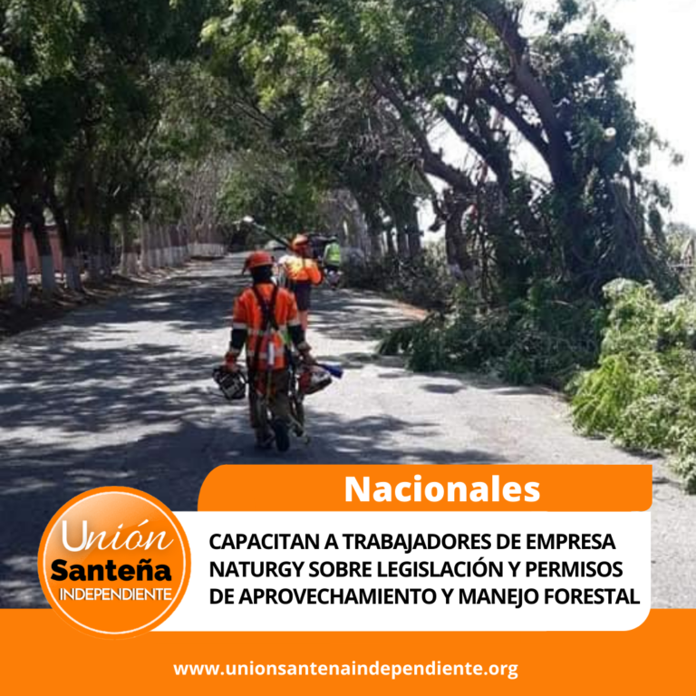 Capacitan a trabajadores de Empresa Naturgy sobre legislación y permisos de aprovechamiento y manejo forestal