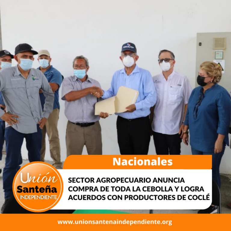 Sector agropecuario anuncia compra de «toda la cebolla» y logra acuerdos con productores de Coclé
