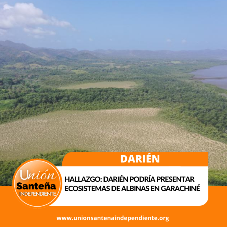 Hallazgo: Darién podría presentar ecosistemas de Albinas en Garachiné