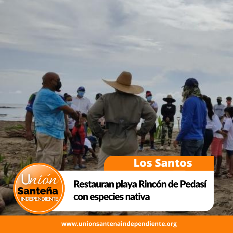 Restauran playa Rincón de Pedasí con especies nativa