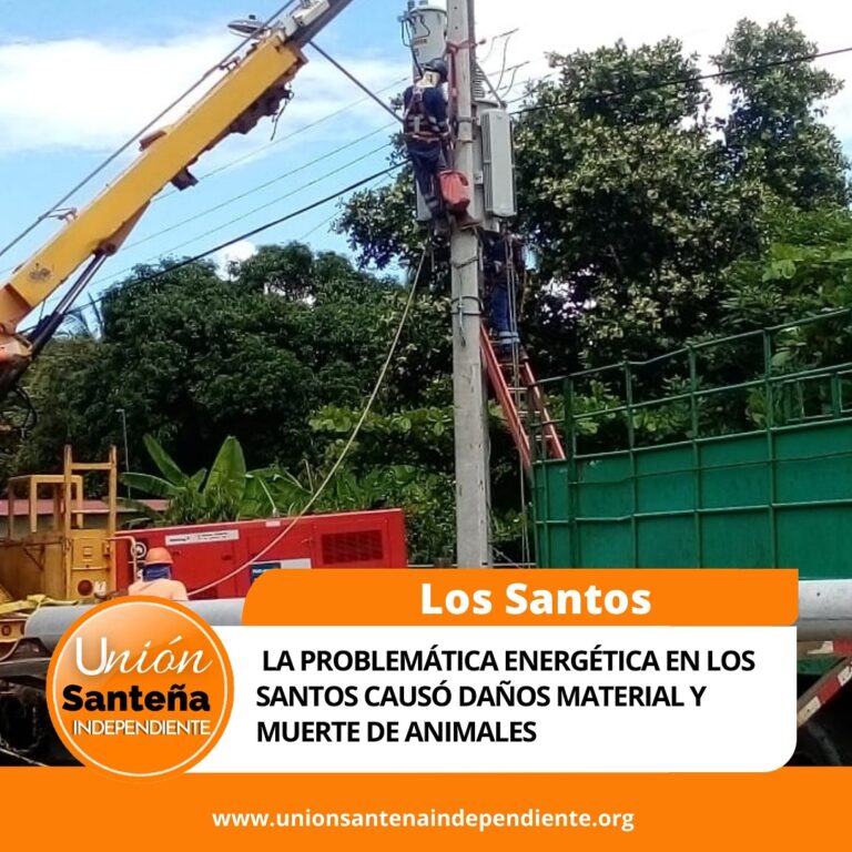 LA PROBLEMÁTICA ENERGÉTICA EN LOS SANTOS CAUSÓ DAÑOS MATERIAL Y MUERTE DE ANIMALES