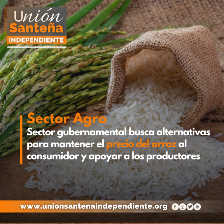 Sector gubernamental busca alternativas para mantener el precio del arroz al consumidor y apoyar a los productores