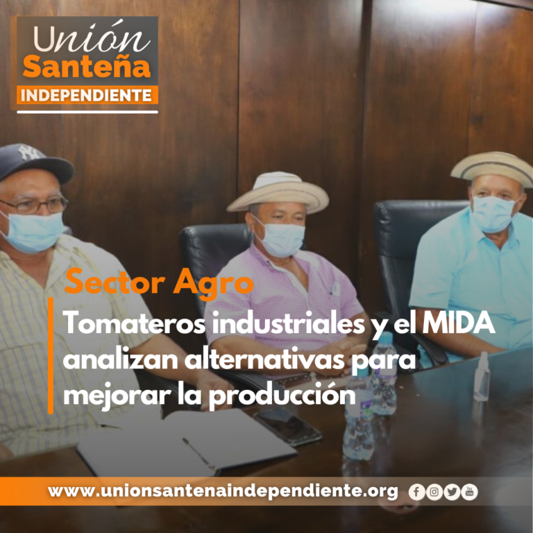 Tomateros industriales y el MIDA analizan alternativas para mejorar la producción
