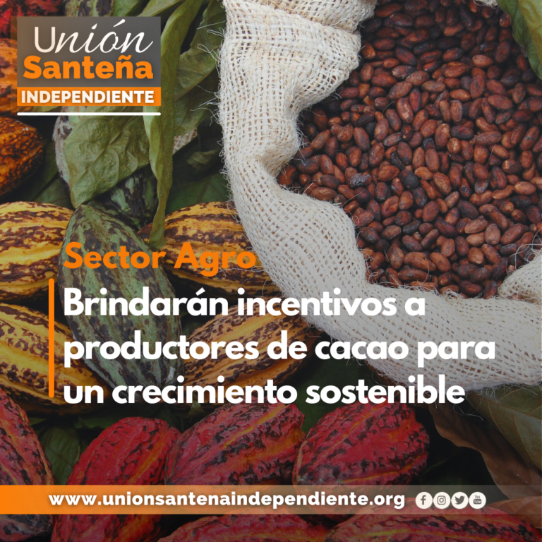 Brindarán incentivos a productores de cacao para un crecimiento sostenible
