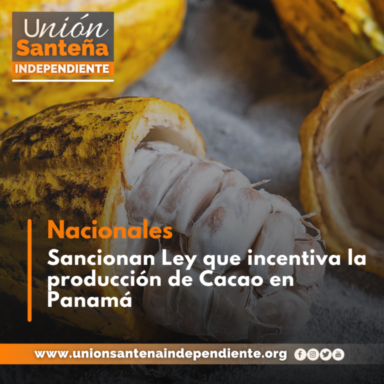 Sancionan Ley que incentiva la producción de Cacao en Panamá
