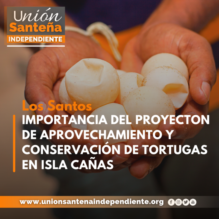 IMPORTANCIA DEL PROYECTO DE APROVECHAMIENTO Y CONSERVACIÓN DE TORTUGAS EN ISLA CAÑAS