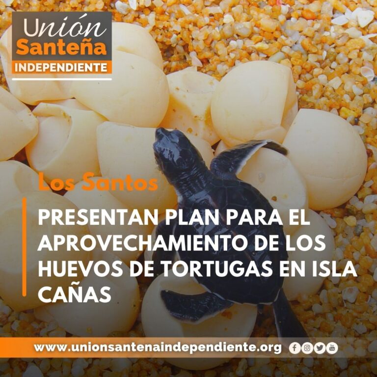 PRESENTAN PLAN PARA EL APROVECHAMIENTO DE LOS HUEVOS DE TORTUGAS EN ISLA CAÑAS