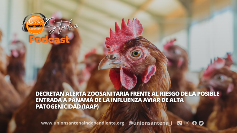 Decretan alerta zoosanitaria frente al riesgo de la posible entrada a Panamá de la Influenza Aviar de Alta Patogenicidad (IAAP)