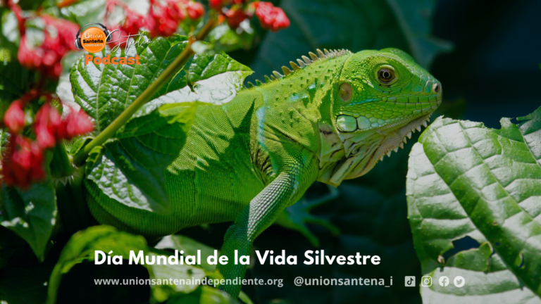 Día Mundial de la Vida Silvestre