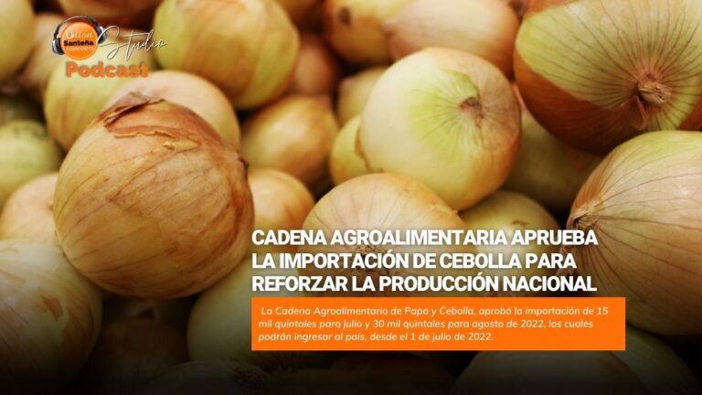 Cadena Agroalimentaria aprueba la importación de cebolla para reforzar la producción nacional