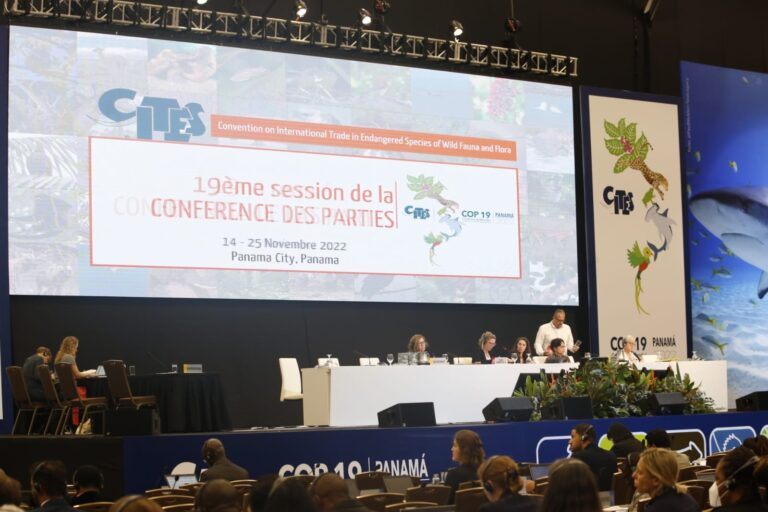 Panamá presenta propuesta de inclusión de género en la Convención sobre el Comercio Internacional de Especies Amenazadas de Fauna y Flora Silvestres (CITES)