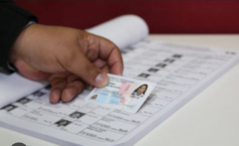 Depuración del Padrón Electoral Final